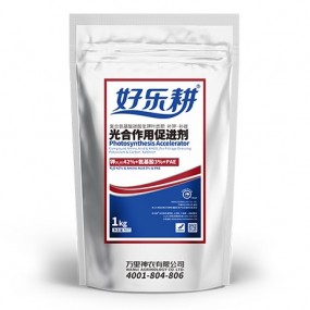 好乐耕光合作用促进剂（叶面肥）