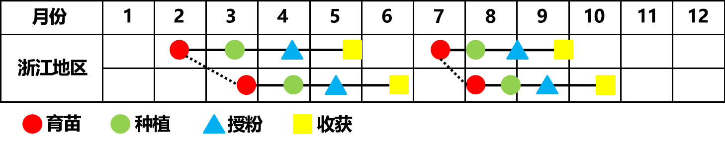 zhonzhishijian.jpg