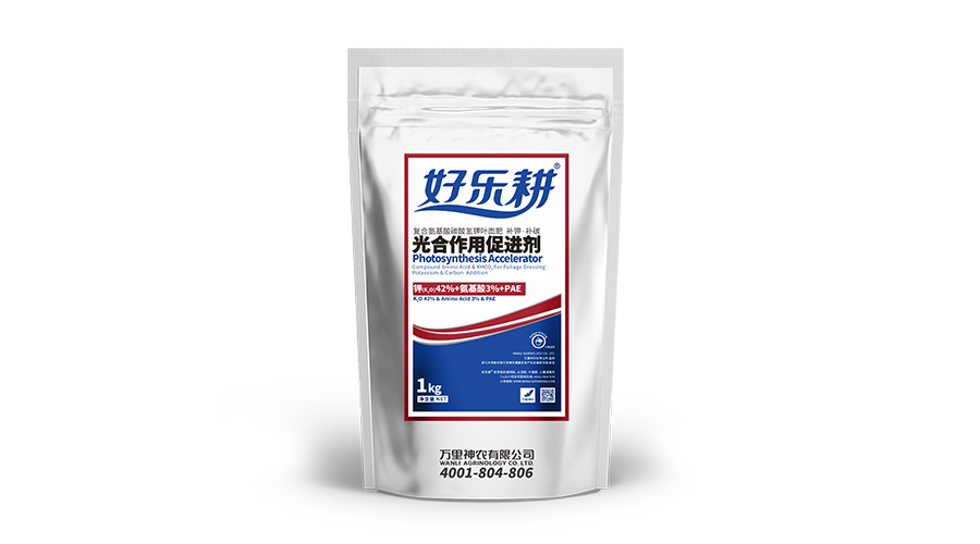光合作用促进剂.jpg