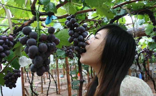 搜狗截图18年07月08日2322_1.jpg